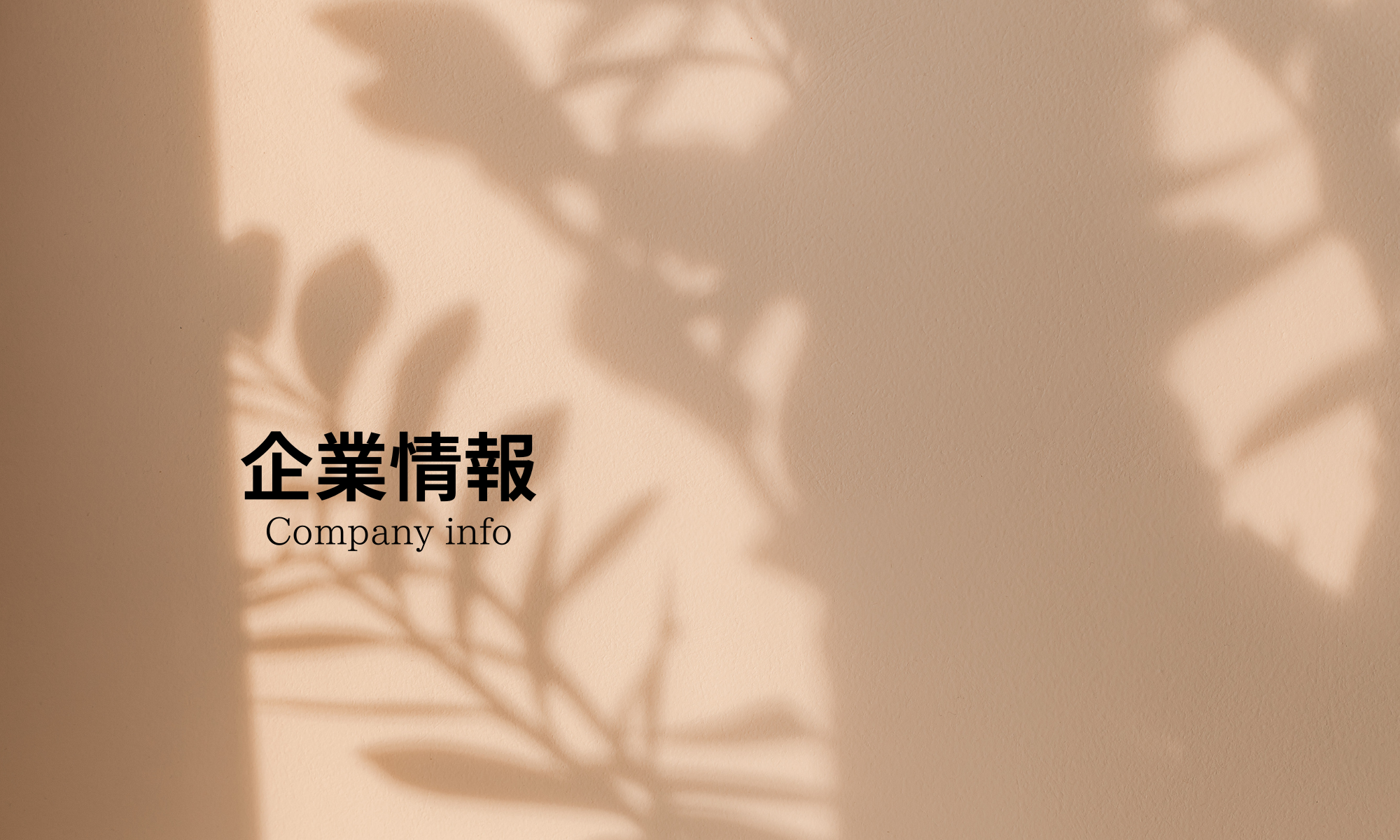 Company info